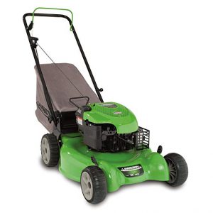 Lawn Boy 10640 300x300 10 Best Selling Gas Powered Mowers on the Market Today