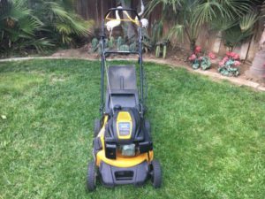Cub Cadet CC550SP 173cc Self-Propelled Lawn Mower for Sale - RonMowers