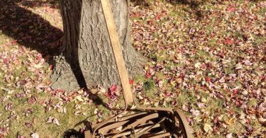 Antique Montgomery Ward Lakeside Push Lawn Mower | Circa 1911 1914 | Vintage Garden Decor 00v0v lJbtEoPyxya 0t20CI 1200x900 375x195 Antique Montgomery Ward Lakeside Push Lawn Mower | Circa 1911 1914 | Vintage Garden Decor